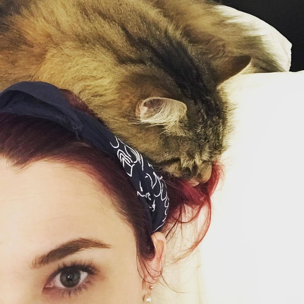 Meet your Posher, Ashley